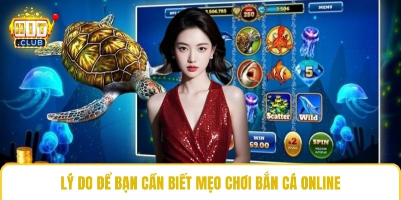 Lý do để bạn cần biết mẹo chơi bắn cá online
