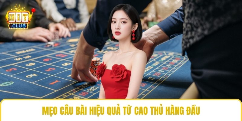 Mẹo câu bài hiệu quả từ cao thủ hàng đầu