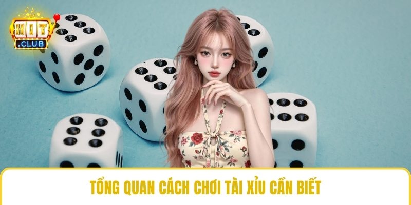 Tổng quan cách chơi tài xỉu cần biết